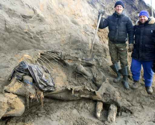 Pesquisadores posam em 25 de setembro ao lado dos restos de um mamute encontrados no norte da Rússia. Foto: AFP/Ho  
