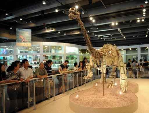 Visitantes observam esqueleto de Lufengossauro em Hong Kong, 26 de outubro, 2008. Foto: AFP/Arquivo/Ted Aljibe 