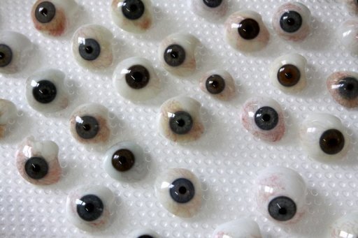 Cientistas europeus criaram o primeiro olho artificial facetado, inspirado na mosca drosófila, que oferece uma visão panorâmica sem distorções, segundo trabalhos publicados na edição de 20 a 24 de maio da revista da Academia Americana de Ciências (PNAS). Crédito: DDP/AFP/Andreas Fischer (DDP/AFP/Andreas Fischer)