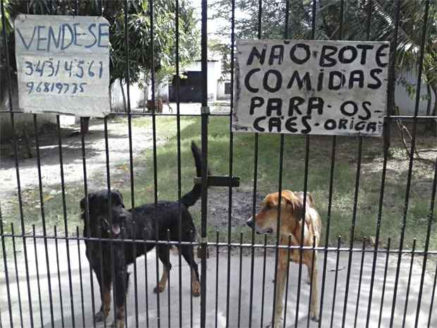 Placa no portão da casa adverte para que os cães não sejam alimentados. Foto: Facebook/Reprodução