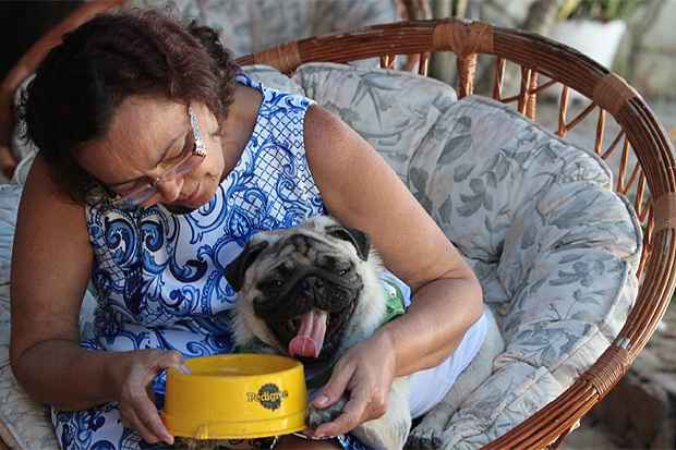 Por conta do calor, o pug de nove meses Roberto Carlos costuma passear com a dona, Elza Rocha Machado, de manhã cedo. Foto: Nando Chiappetta/ DP/ D.A Press
