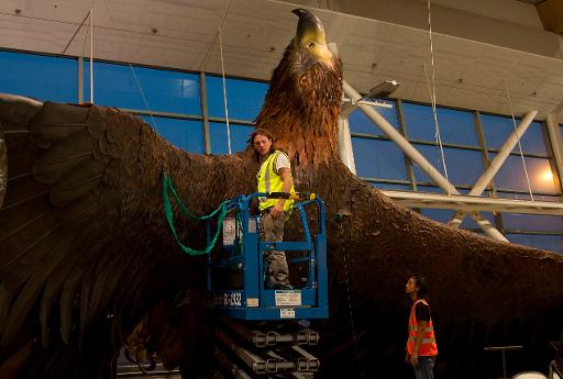 Operários prendem águia gigante que se soltou to teto do aeroporto de Wellington devido ao terremoto
Foto: AFP Marty Melville