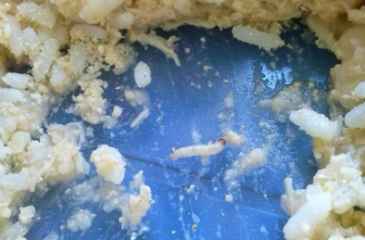 Alunos encontraram uma larva no arroz servido na escola. Ruan Gabriel/Divulgação