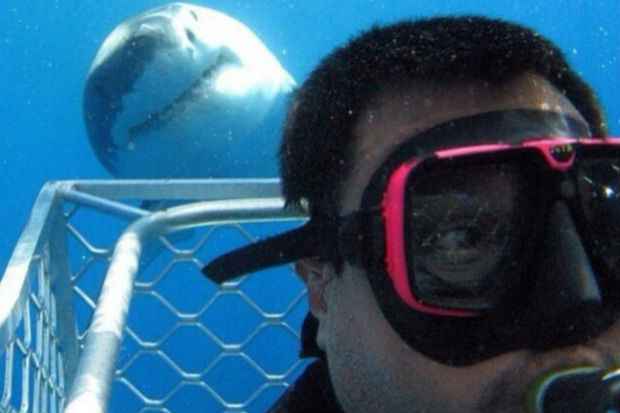 Tubar O Branco Invade Selfie De Mergulhador Mundo Diario De Pernambuco