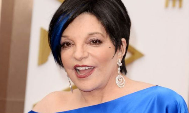liza minelli rehab liza minelli rehab