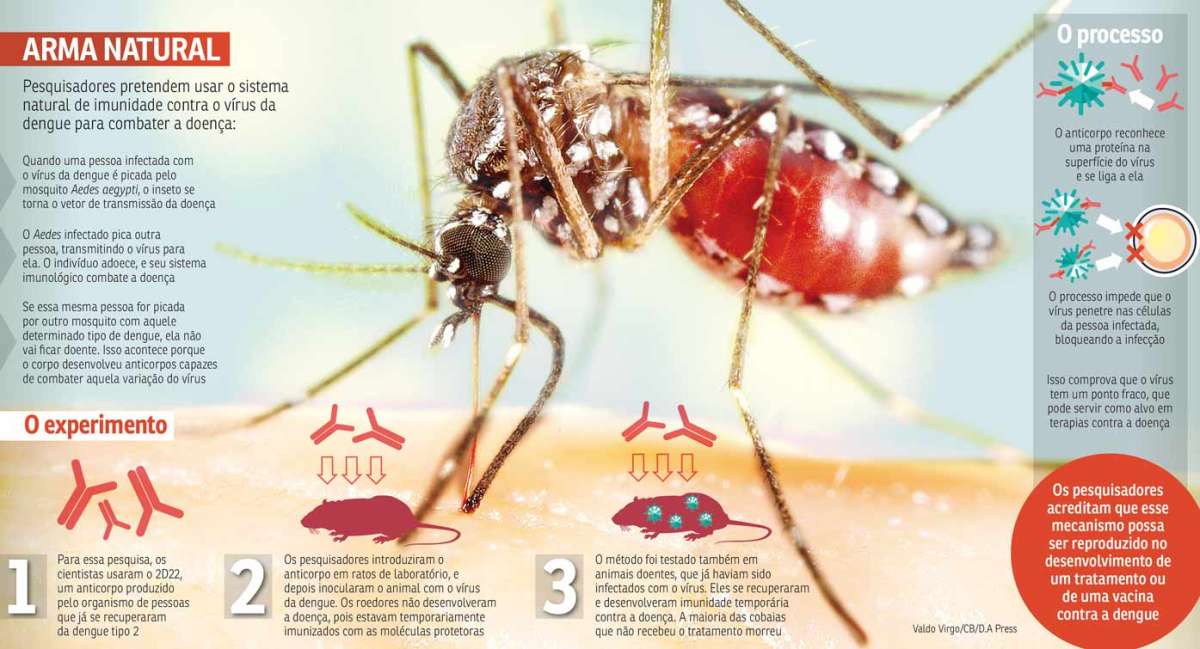 Doença de Chagas: mecanismos de infecção, resposta imune