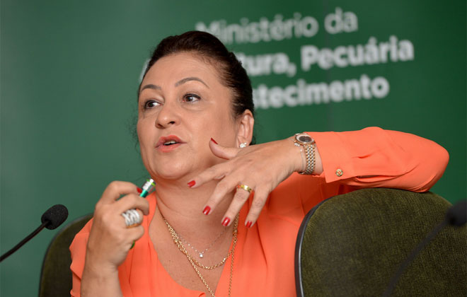 Ministra mais próxima de Dilma, Kátia ABreu foi flagrada confirmando permanência dos seis ministros. Foto: Wilson Dias/Agência Brasil (Ministra mais próxima de Dilma, Kátia ABreu foi flagrada confirmando permanência dos seis ministros. Foto: Wilson Dias/Agência Brasil)