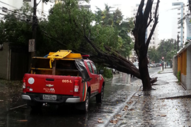Uma árvore caiu na Rua Feliciano José de Farias, em Boa Viagem, atingindo a fiação elétrica e o muro de uma casa. Foto:@IvannaNatascha/Twitter