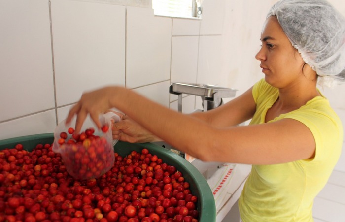 Agricultora Maria José beneficia polpa de fruta no sítio onde mora. Foto: Roberto Arrais / Divulgação