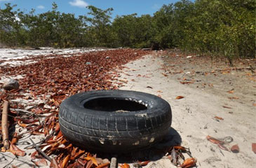 Parte dos resíduos tem se acumulado no manguezal de Vila Velha, onde é crescente o aparecimento de pneus (Fernando Melo/Divulgação)